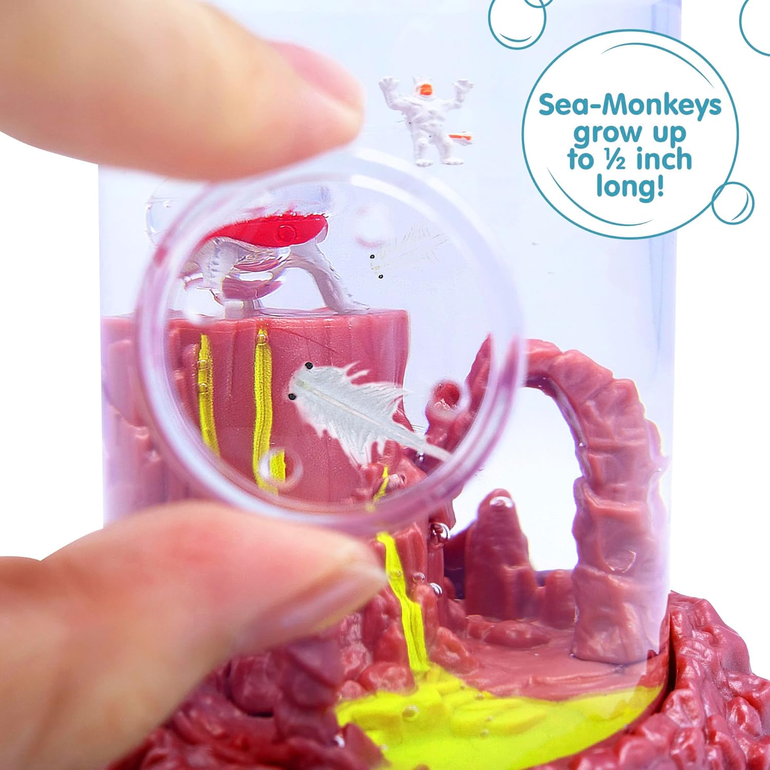 Sea-Monkeys? On Mars - World-s Only Instant Pets? - Ages 6+ (Pack of 1) - Image 5